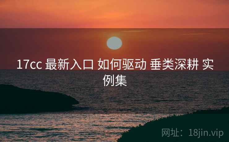 17cc 最新入口 如何驱动 垂类深耕 实例集