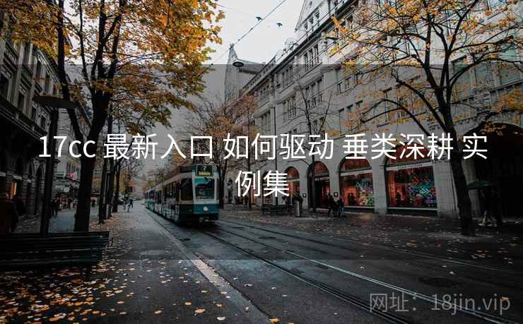 17cc 最新入口 如何驱动 垂类深耕 实例集