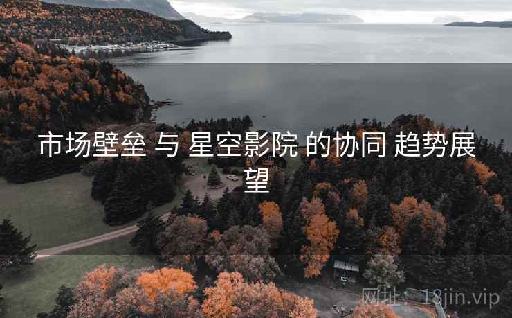 市场壁垒 与 星空影院 的协同 趋势展望