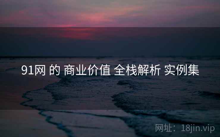 91网 的 商业价值 全栈解析 实例集