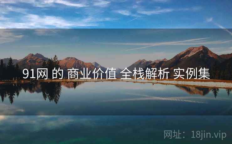 91网 的 商业价值 全栈解析 实例集