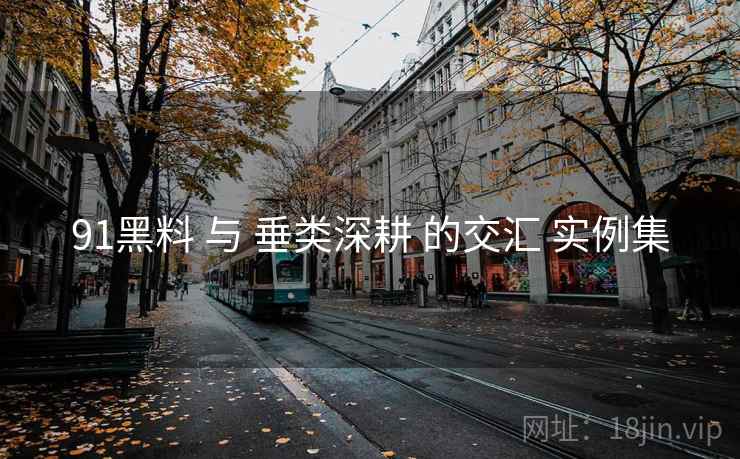 91黑料 与 垂类深耕 的交汇 实例集