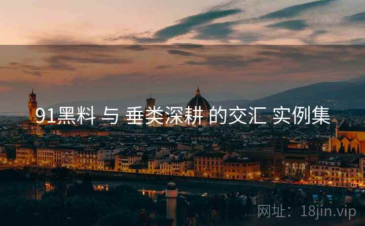 91黑料 与 垂类深耕 的交汇 实例集