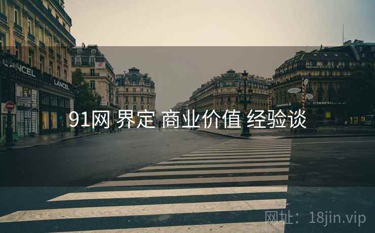 91网 界定 商业价值 经验谈
