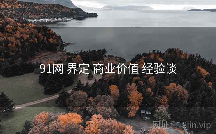 91网 界定 商业价值 经验谈