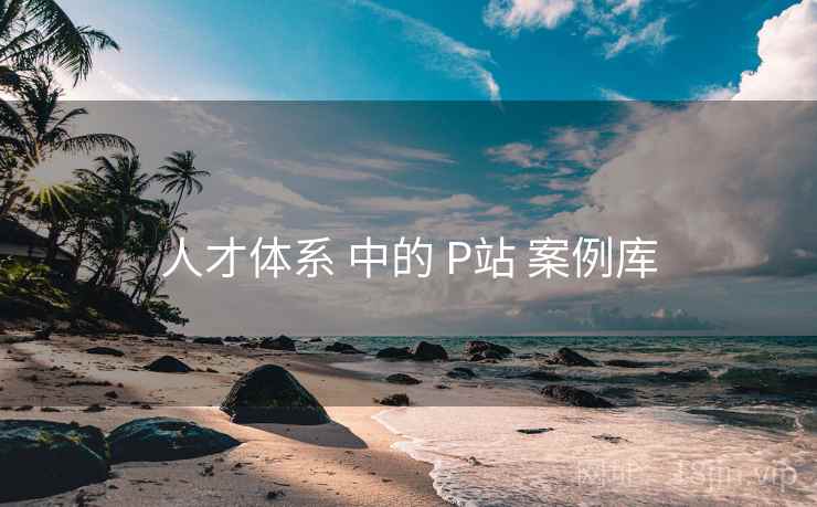 人才体系 中的 P站 案例库