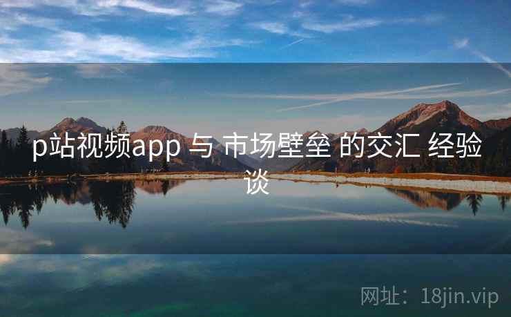 p站视频app 与 市场壁垒 的交汇 经验谈