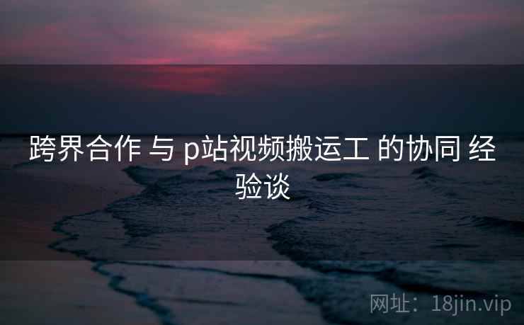 跨界合作 与 p站视频搬运工 的协同 经验谈