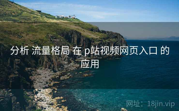 分析 流量格局 在 p站视频网页入口 的应用